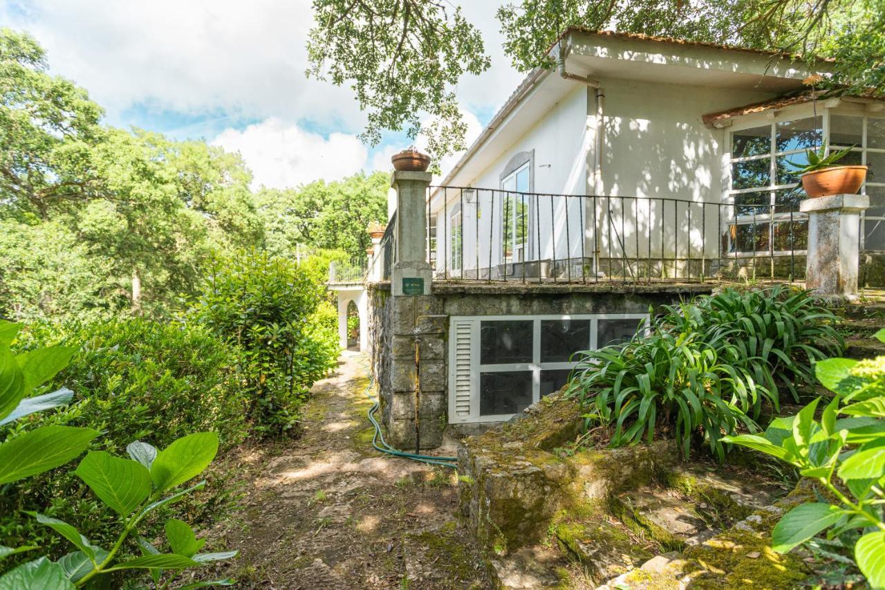 Quinta Biologica, Com Vista, Na Serra De Sintra Dış mekan fotoğraf