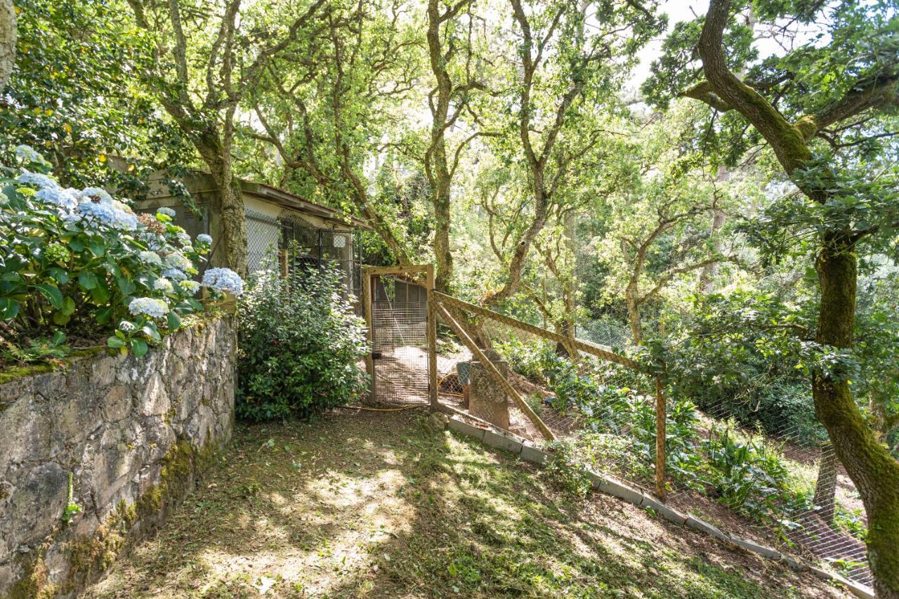 Quinta Biologica, Com Vista, Na Serra De Sintra Dış mekan fotoğraf
