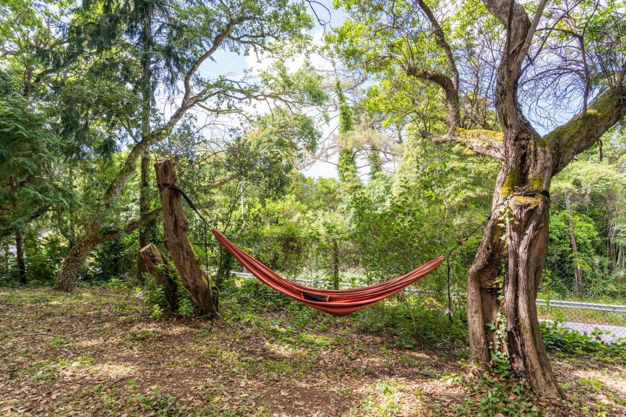 Quinta Biologica, Com Vista, Na Serra De Sintra Dış mekan fotoğraf