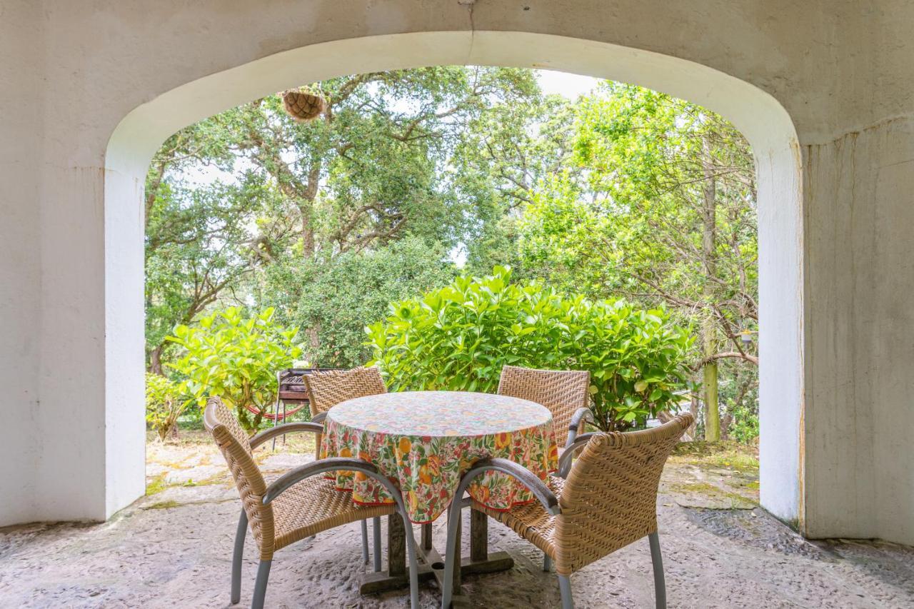 Quinta Biologica, Com Vista, Na Serra De Sintra Dış mekan fotoğraf