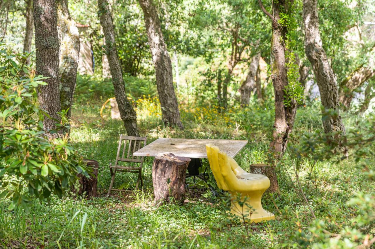 Quinta Biologica, Com Vista, Na Serra De Sintra Dış mekan fotoğraf