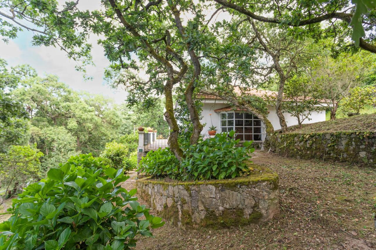Quinta Biologica, Com Vista, Na Serra De Sintra Dış mekan fotoğraf