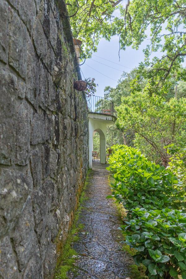 Quinta Biologica, Com Vista, Na Serra De Sintra Dış mekan fotoğraf